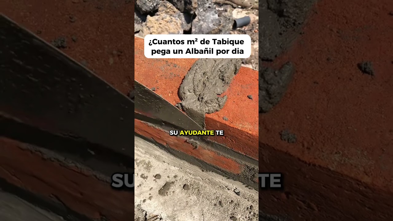 ✅ &iquest;Cuantos m&sup2; de Tabique pega un Alba&ntilde;il al dia?  #construccion #arquitectura #ingenieria #obras