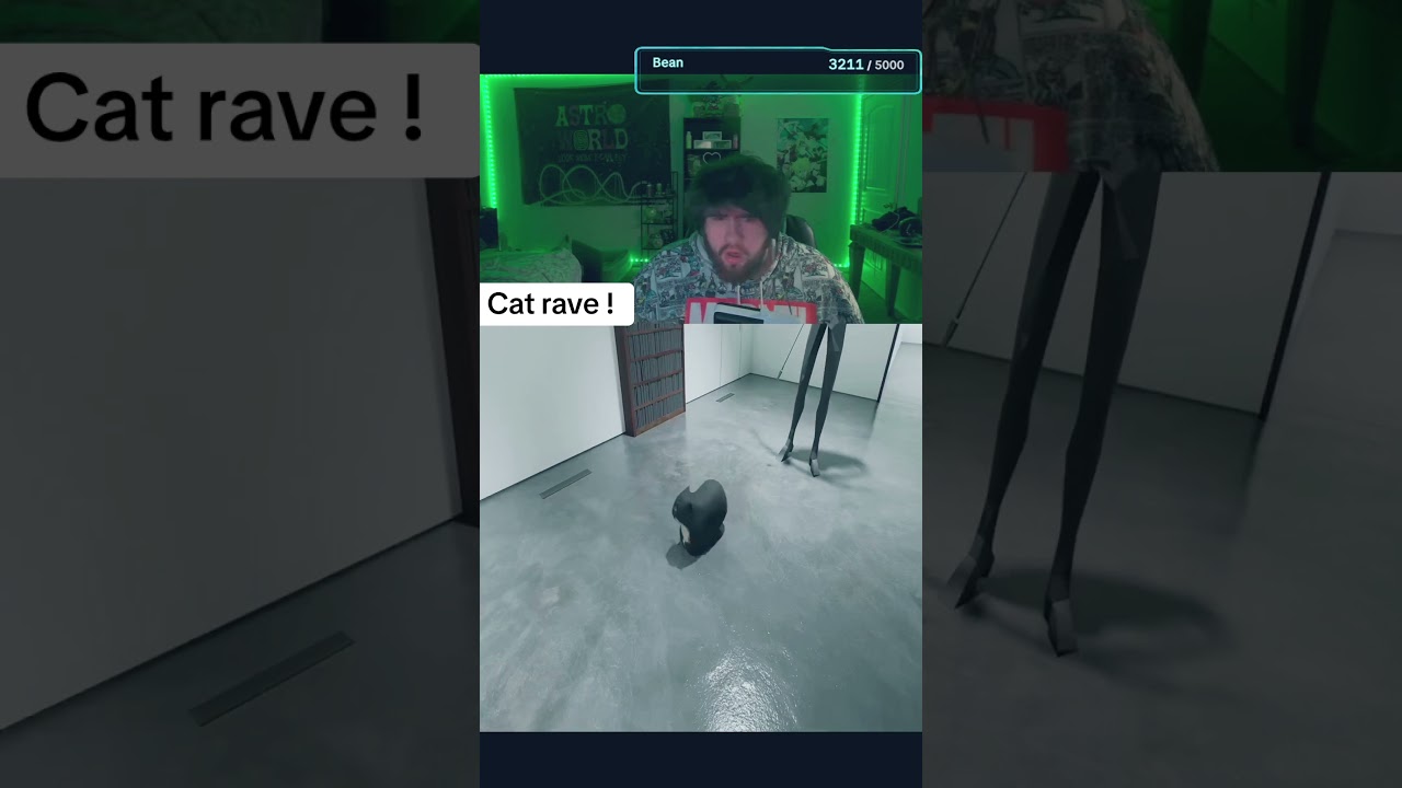Love this game #twistedgallery #indie #game #rave #cats
