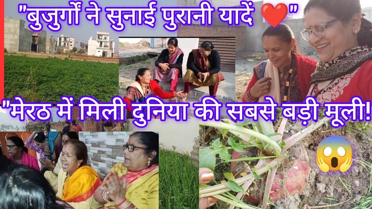 मेरठ का सफ़र:गुड़ की तलाश, शादी के गीत और बुजुर्गों के पुराने किस्से! खेत में मिली इतनी बड़ी मूली! 🥕