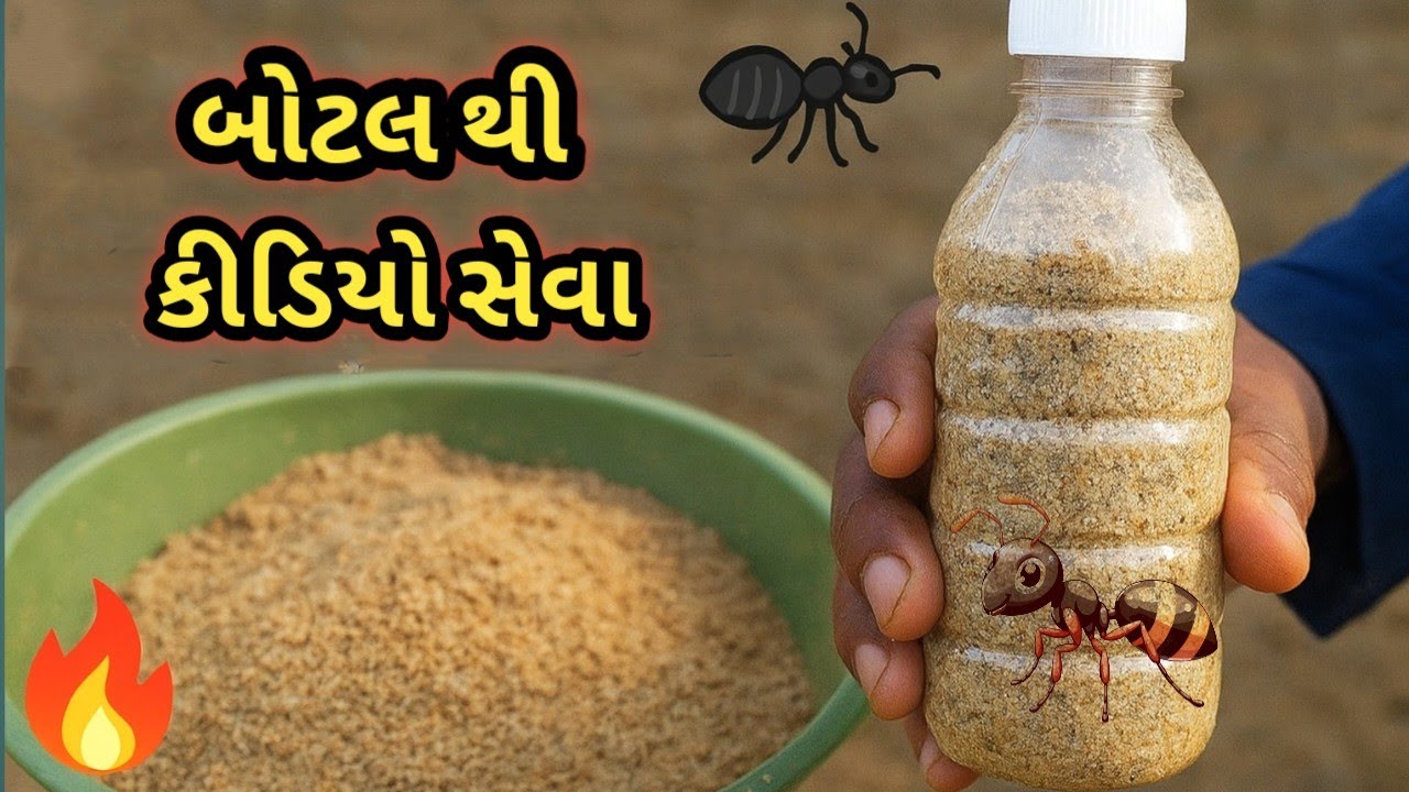 બોટલ થી કીડિયો સેવા 🐜 | કીડિયાને સેણેલું ખોરાક બનાવવાની ઘરેલું રીત | Gujarati Village Vlog