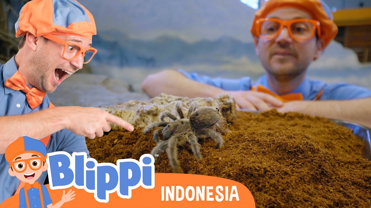 Makhluk kebun binatang 🕷️🕸️ | Blippi Bahasa Indonesia - Video Anak-Anak | Petualangan Blippi
