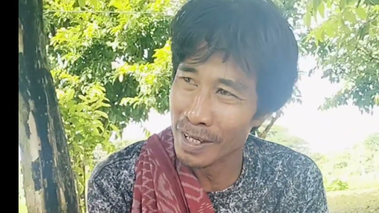 JAMUR‼️Tumbuh di Saat Musim Hujan 