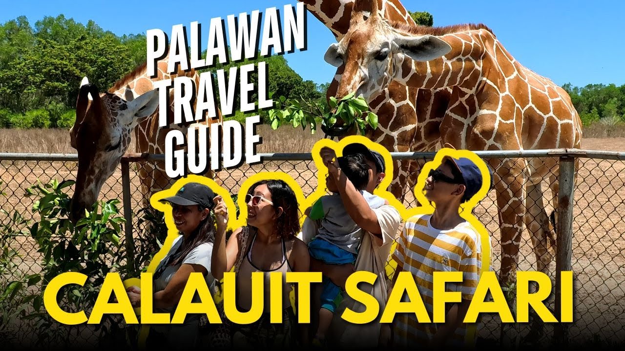 How to Book Calauit Safari Tour via Klook (Step-by-Step) Palawan Travel Guide 2025