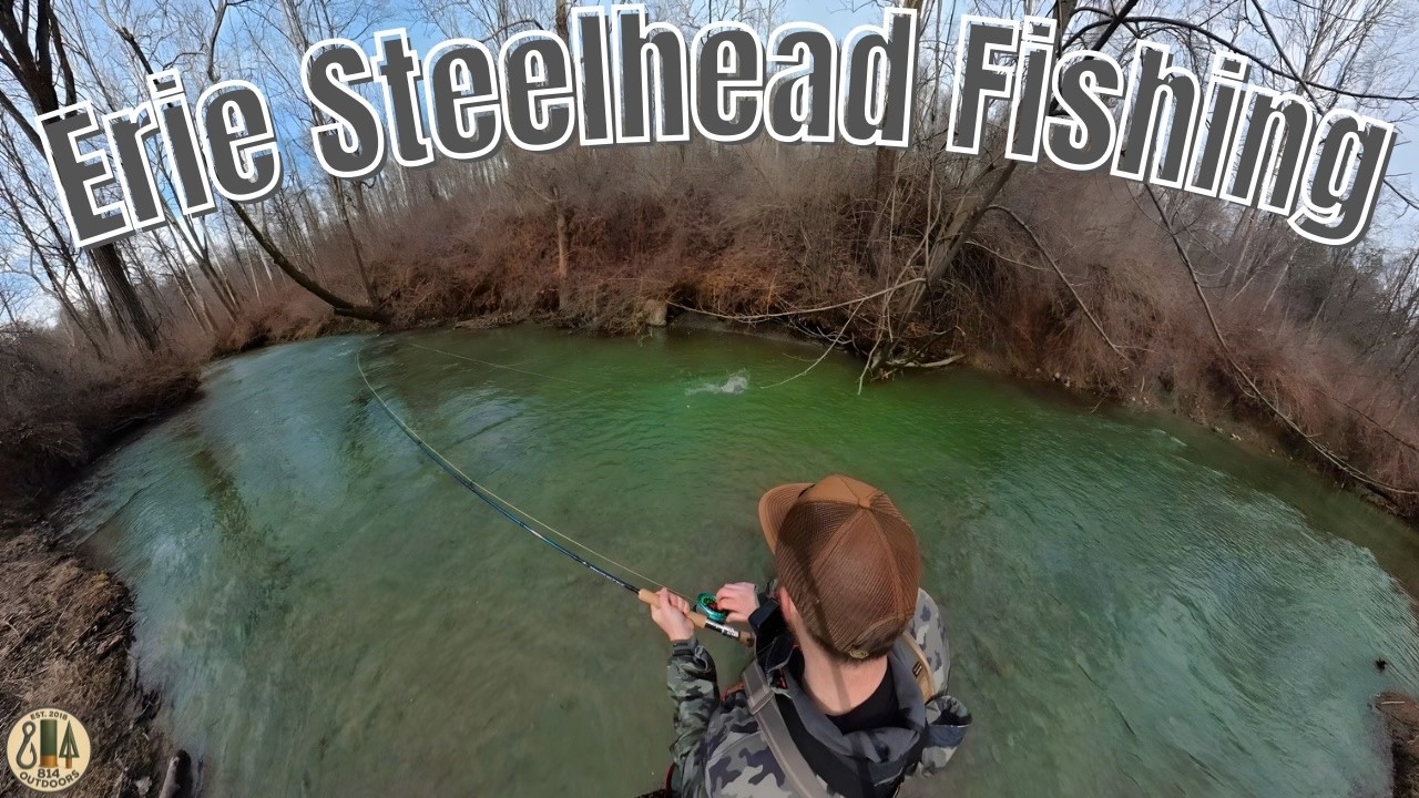 STEELHEAD FISHING SOME OF ERIES SMALLEST TRIBUTARIES!  (A weekend full of steelhead action)