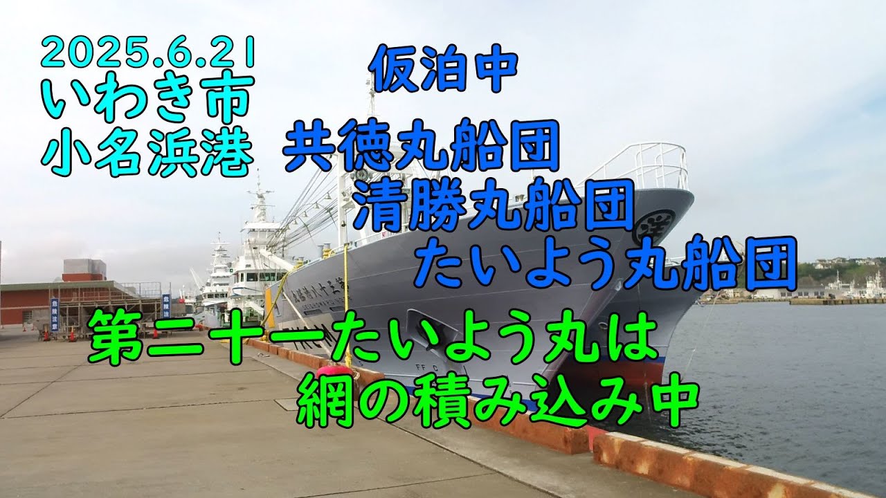 2025.6.21小名浜港各巻網船団の様子と第21たいよう丸の網積み込み