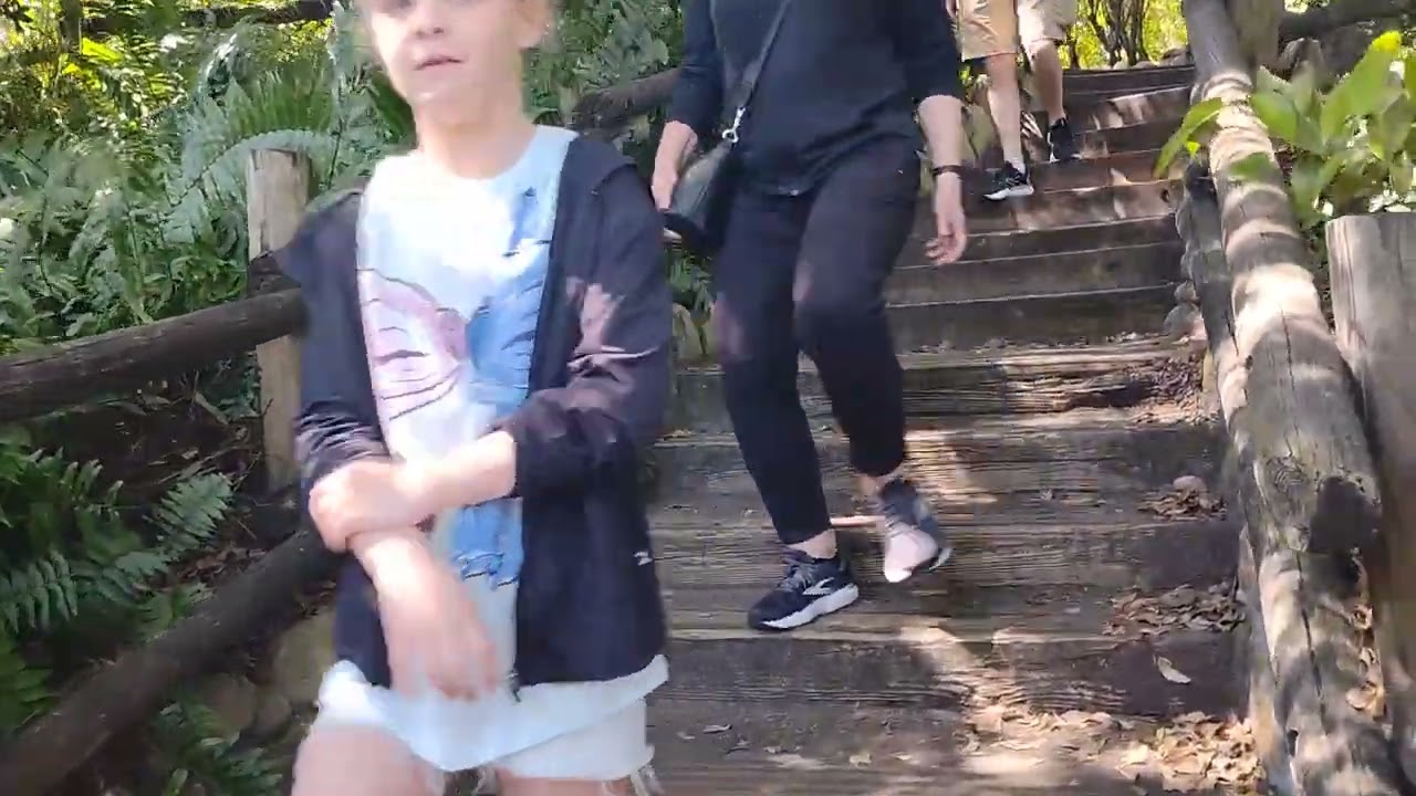 Exploring Tom Sawyer's Island