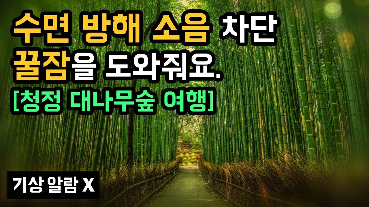 🎋😪 꿀잠을 방해하는 주변 소음 차단! 숲 속 사운드 & 팬플룻 음악 with 청정 대나무숲으로의 숙면 테마 여행