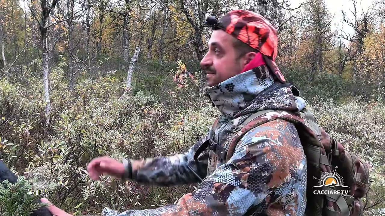 Caccia in Lapponia svedese 4k | gallo cedrone e pernici nordiche con i setter stag.1 ep.1