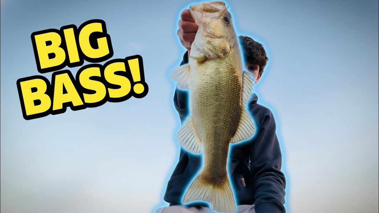 Fishing RESIDENTIAL ponds with GLIDE BAITS! (LOTS OF BASS)
