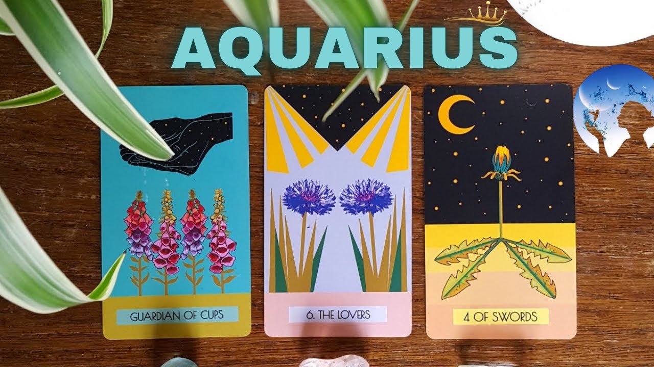 AQUARIUS ❤️🔥YOU WON’T BELIEVE WHAT WAS SAID… A PRIVATE CONVERSATION ABOUT YOU JUST HAPPENED 🤯💬