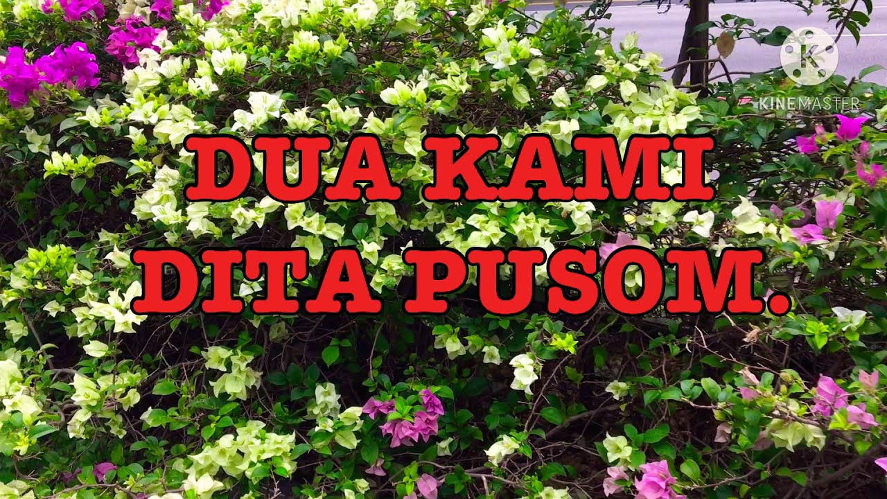 DUA KAMI DITA PUSOM