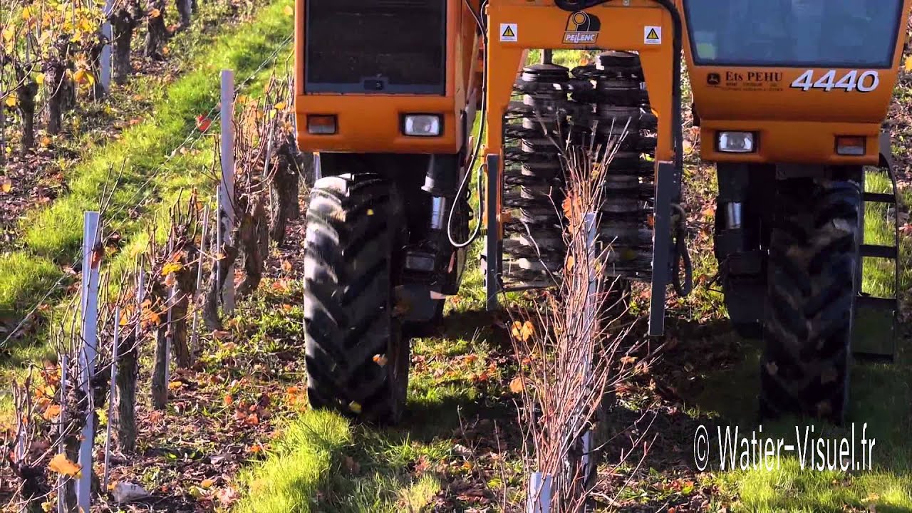 Pré-taille de la vigne avec une Prétailleuse Visio de Pellenc