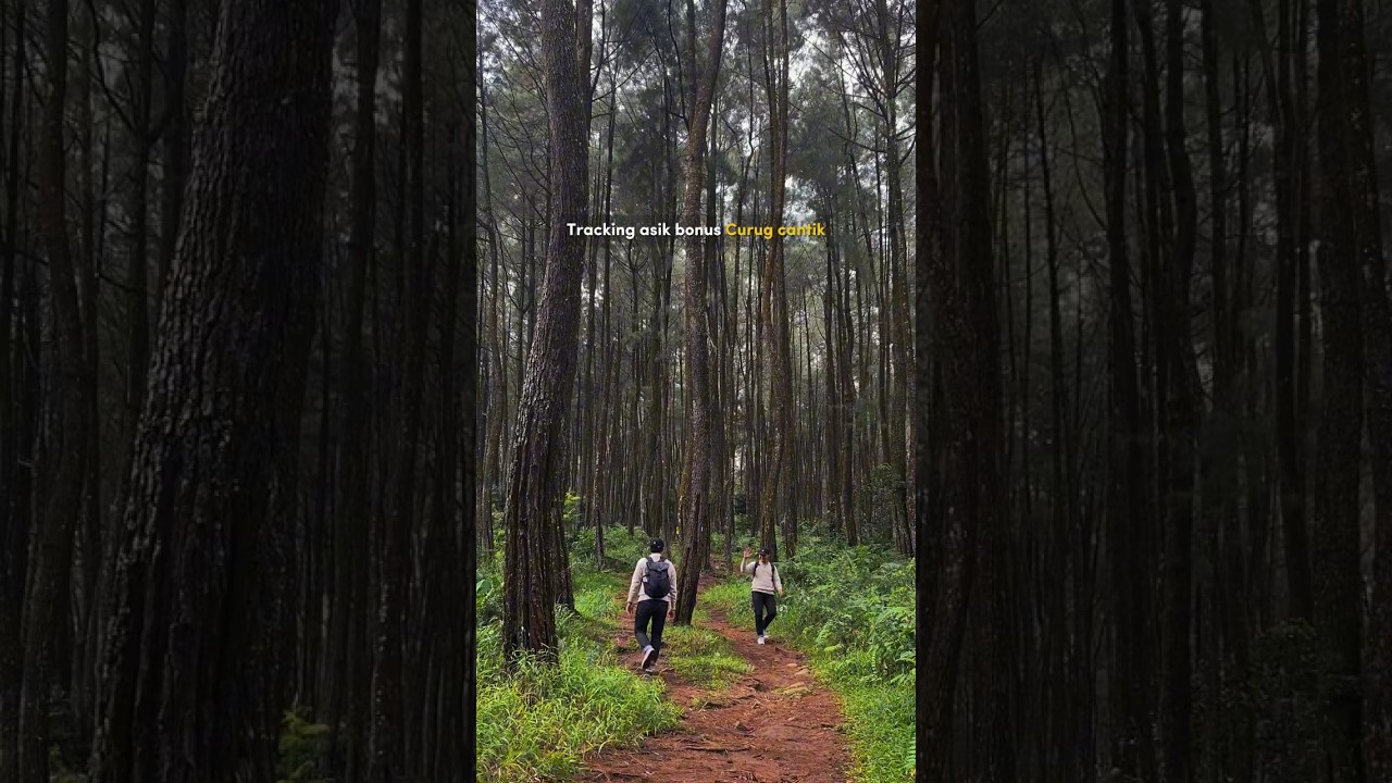 Selalu nagih setiap kesini.. #curug #curugbogor #airterjun #bogor #tracking #travel