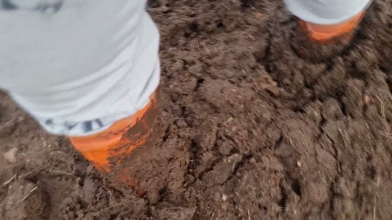 Muddy Dunlops and Gumleafs