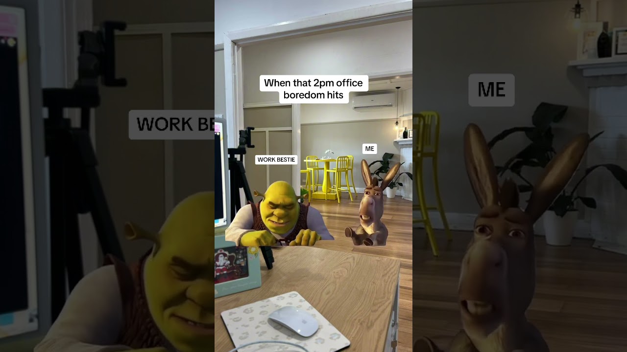 Long days #donkey #shrek #memes #meme #funny