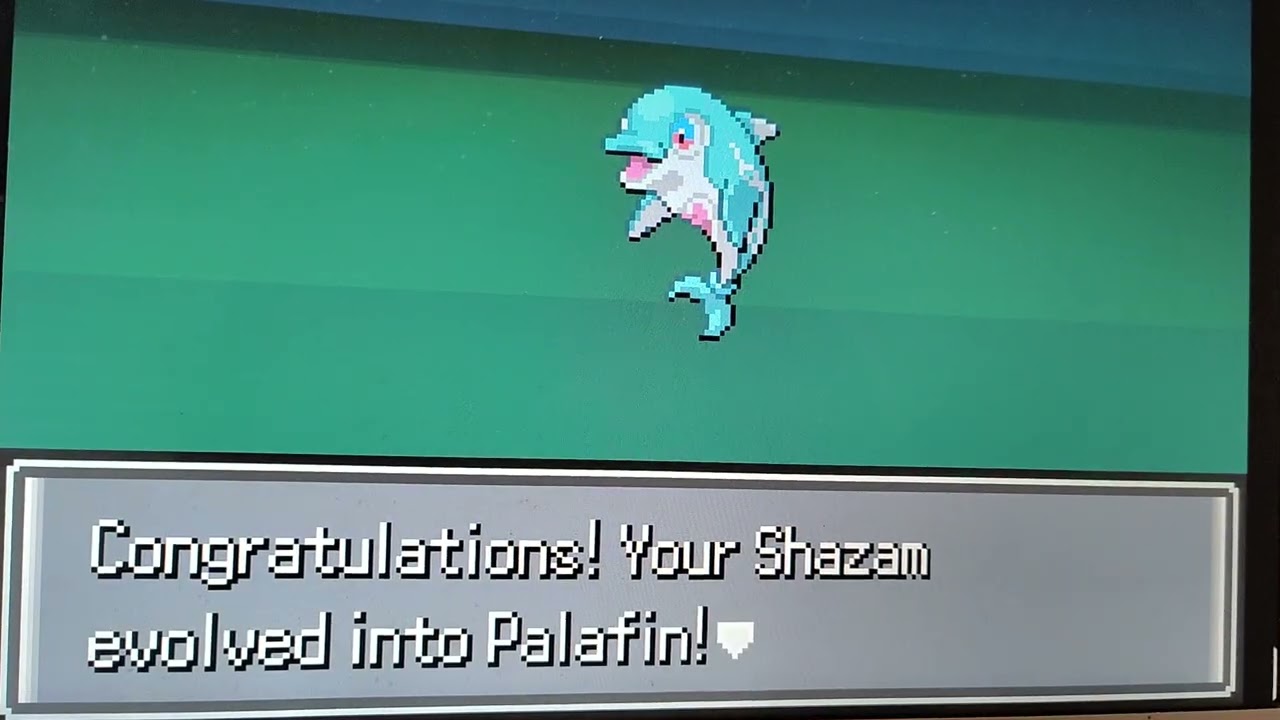 Pokémon Emerald Rogue Episode 3: Losin' for a Bruisin'!