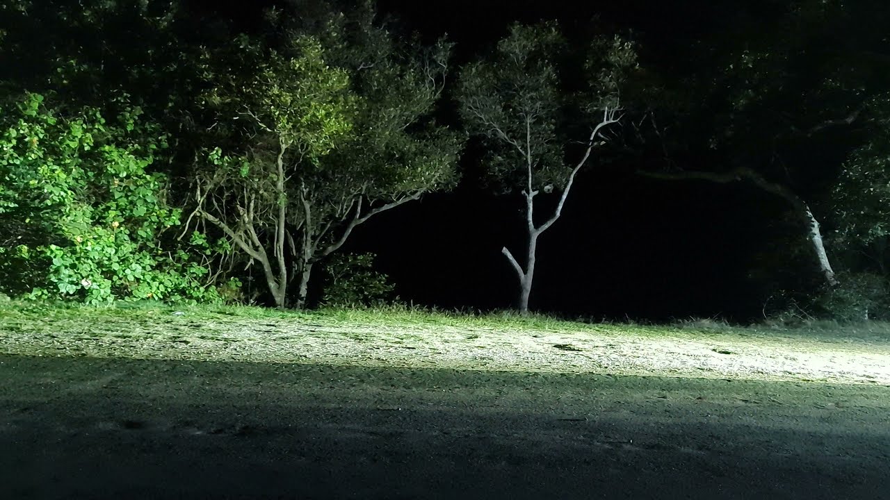Olight Marauder X9R Bike Light!