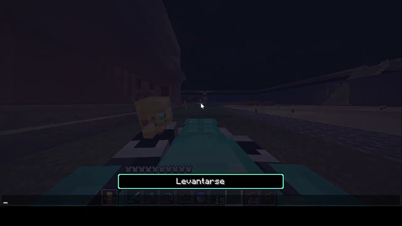 MINECRAFT #21