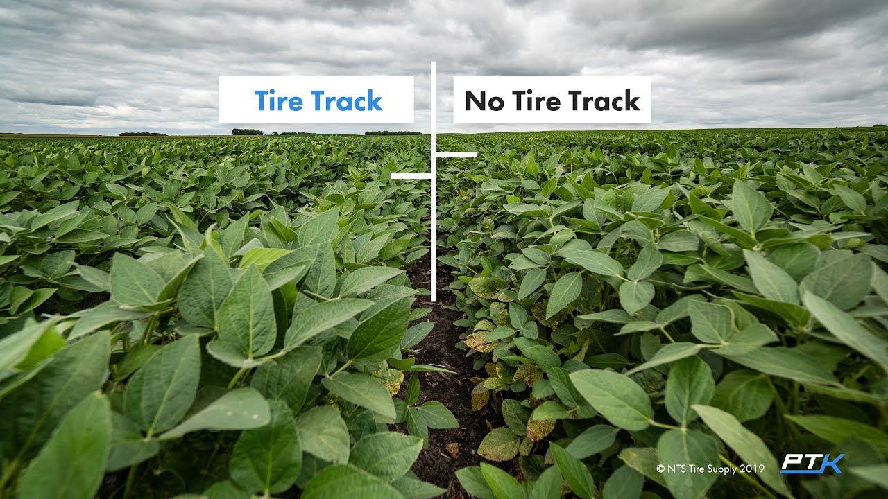 2019 Ag Traction Expo | Planting in the Tracks of Goodyear LSWs: A Yield Crusher or Inflator?