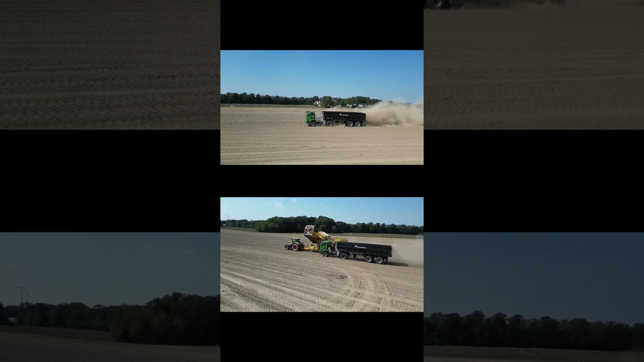 Neuer MAN in der Agrargenossenschaft #kartoffelernte #man #landwirtschaft #traktor #farmblog #claas