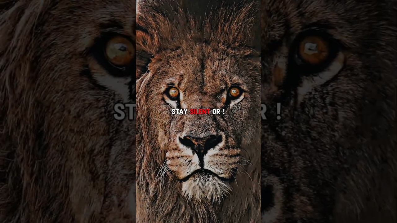 Sigma Rule🔥👿 || Strong Mindset🦁👑 || Motivation quotes #shorts #attitude #sigmarule