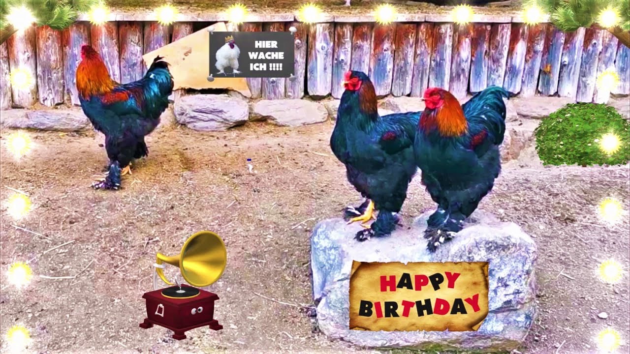 Geburtstag Gl&uuml;ckw&uuml;nsche Rock