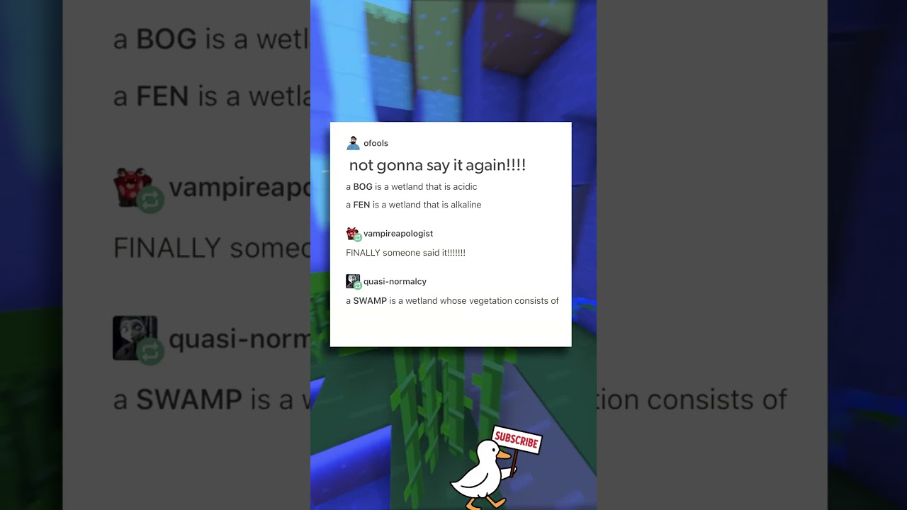 Культура BOG! 🐸