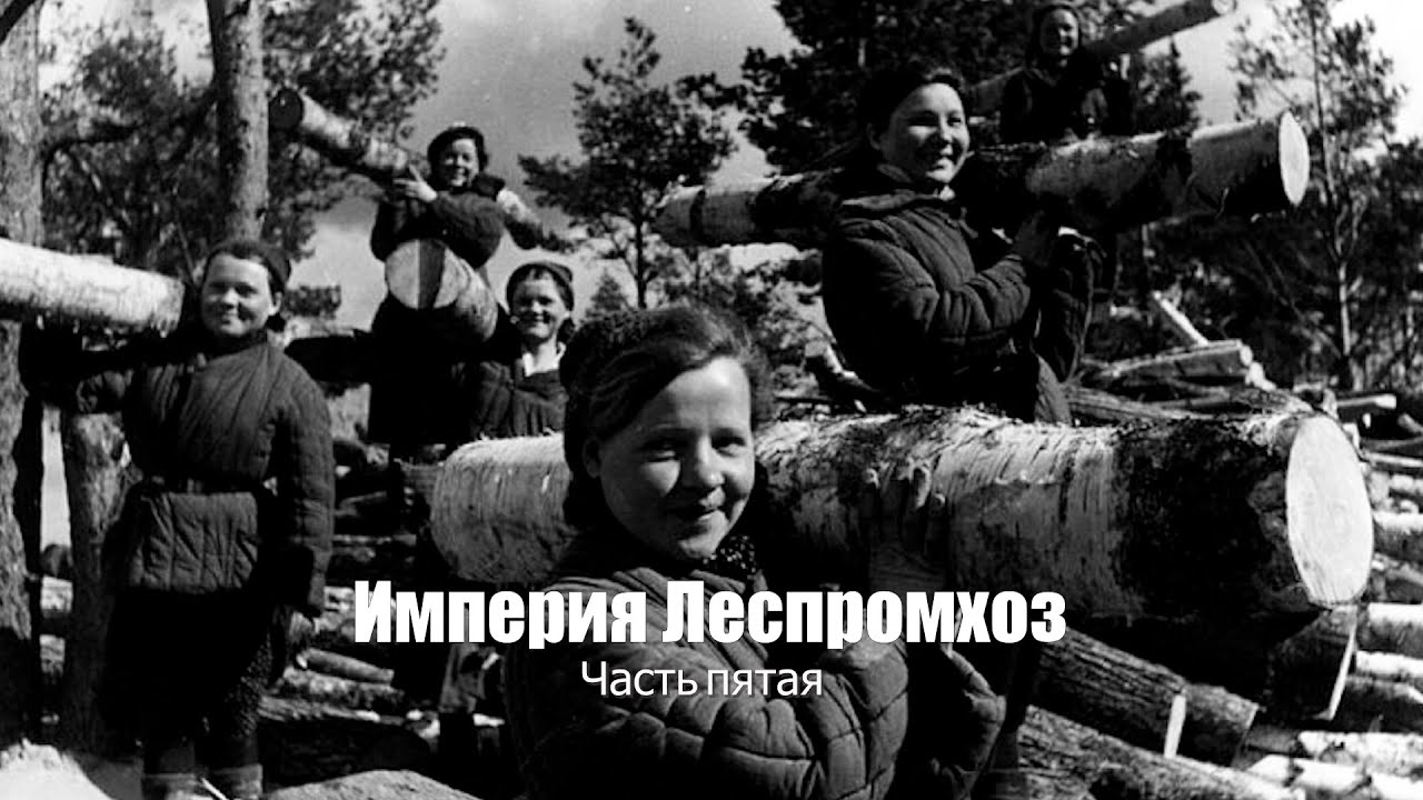 Империя Леспромхоз часть пятая