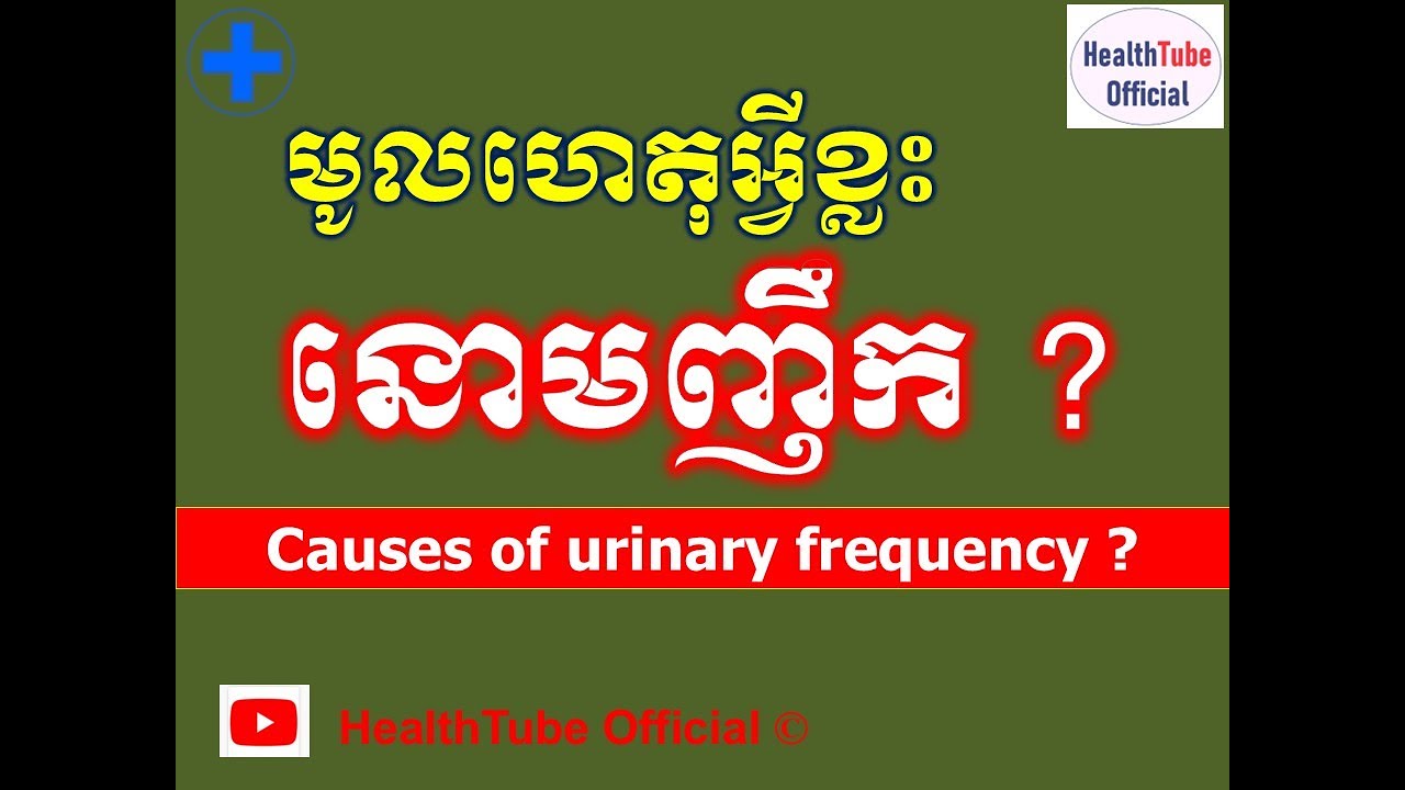 មូលហេតុអ្វីខ្លះ នោមញឹក ? l Why urinary frequency ? l នោមញឹក ll @healthtubeofficial