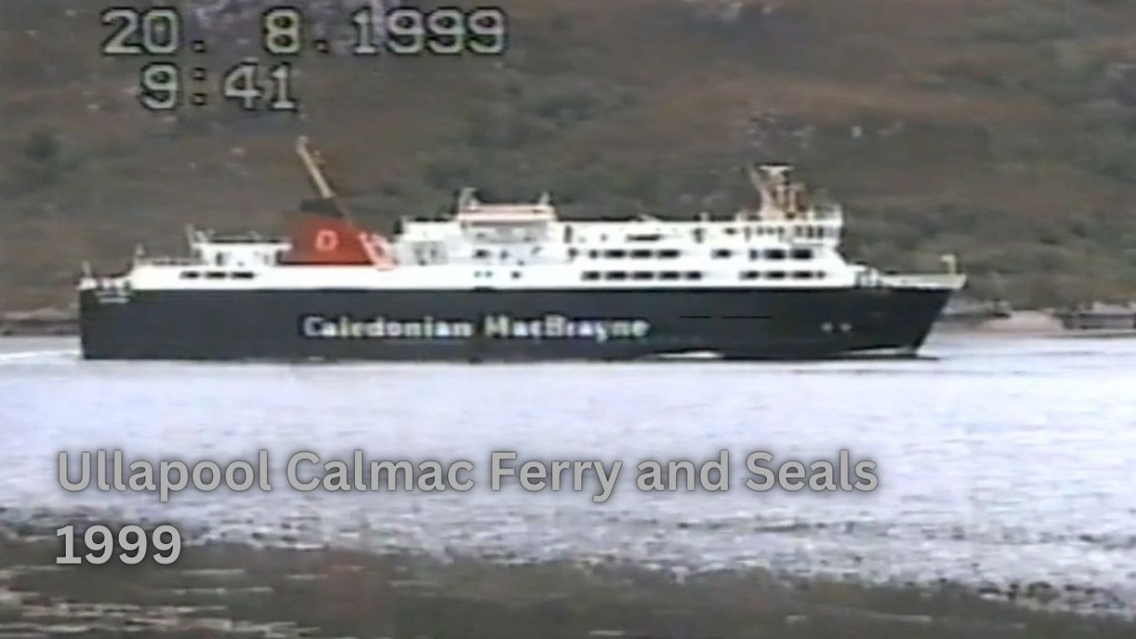 1999 (19th & 20th Aug) - Ullapool Seals and CalMac MV Isle of Lewis Ferry - Home Video Footage