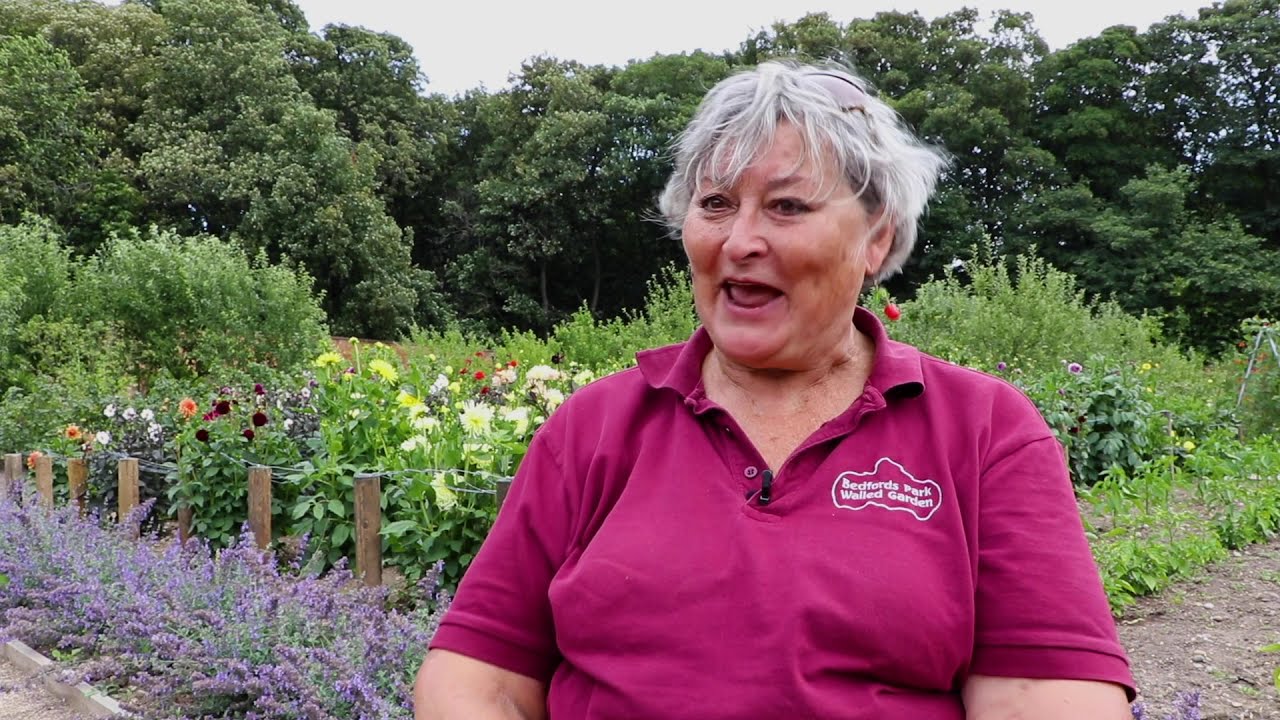 Bedfords Park Walled Garden