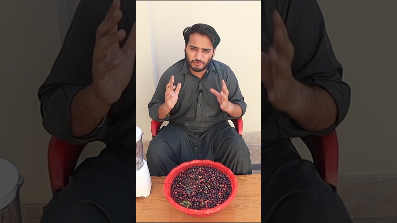 Falsa Juice | Falsay ka Sharbat by Kun Foods