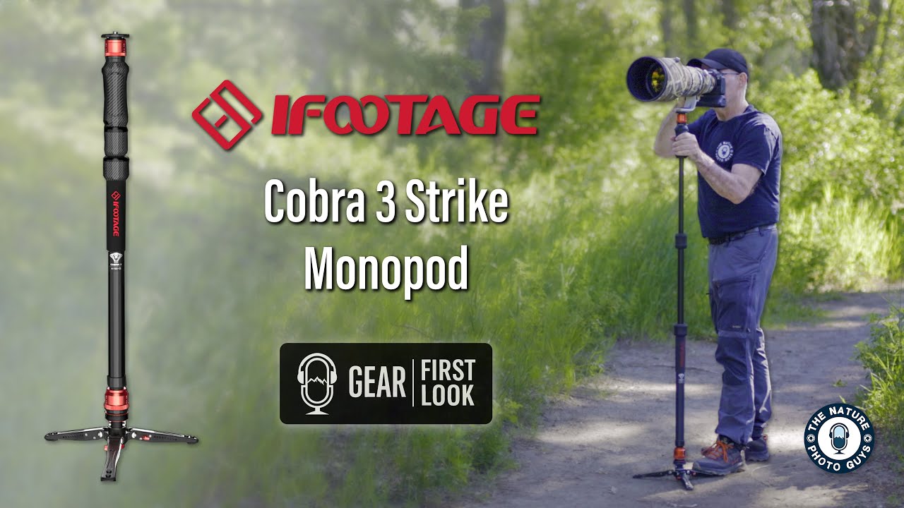 Is the iFootage Cobra 3 Strike the MOST VERSATILE Monopod for Nature & Wildlife Photography