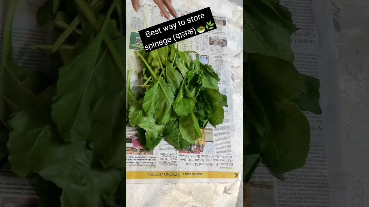 best way to store palak(spinage) for minimum 2 months#shortsyoutube #shorts