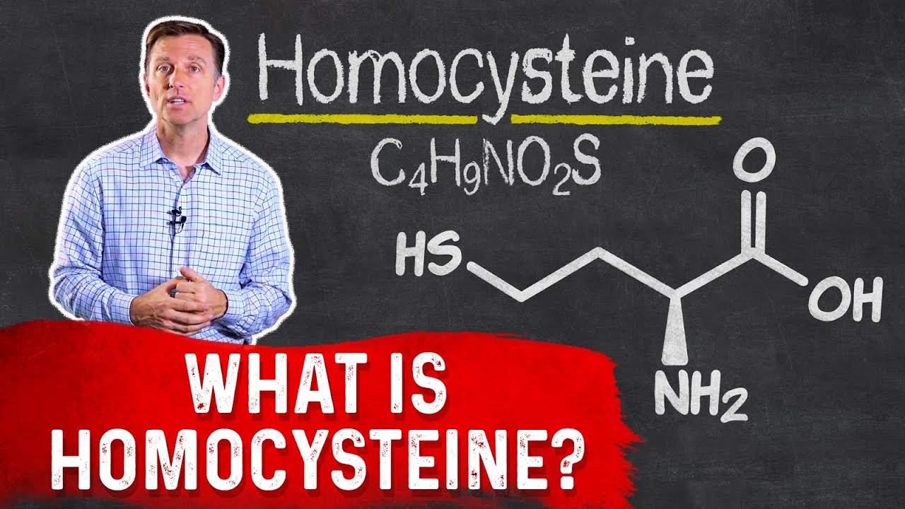 What Is Homocysteine? &ndash; Dr. Berg