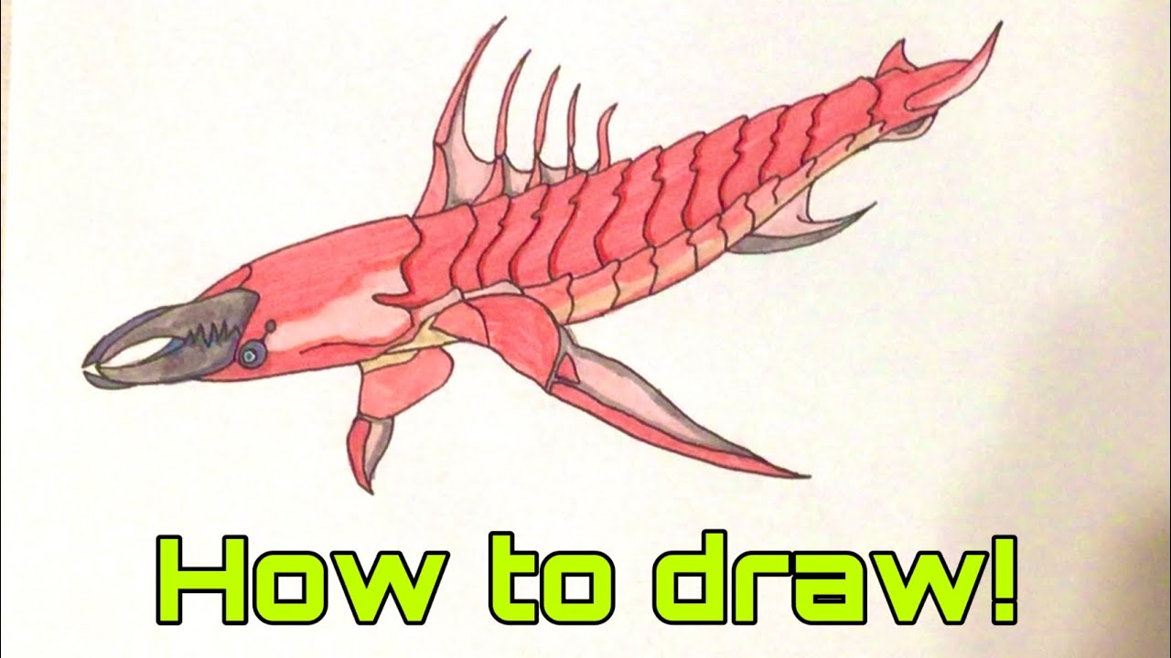 How to draw Chelicerate!