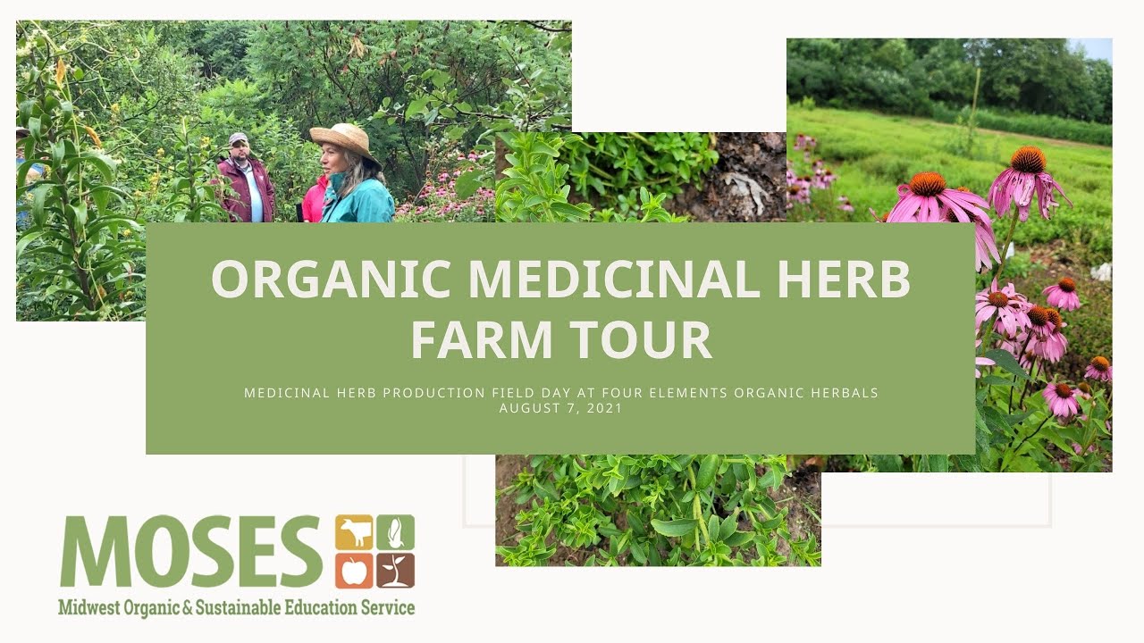 Organic Medicinal Herbs Farm Tour