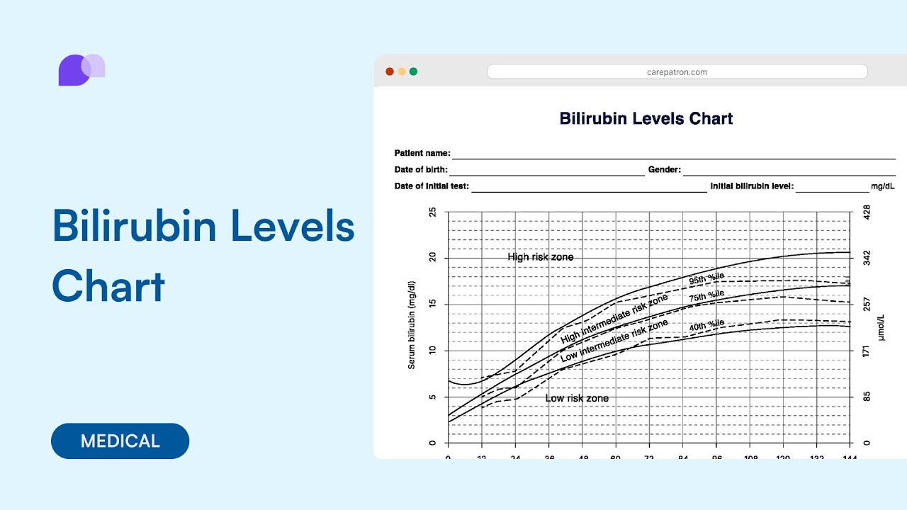 All about bilirubin levels chart