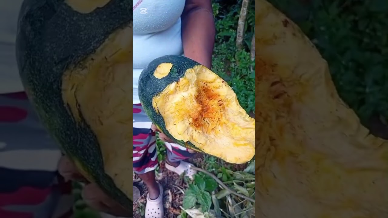 The dumb lady complains/ a lot going on here 🇯🇲