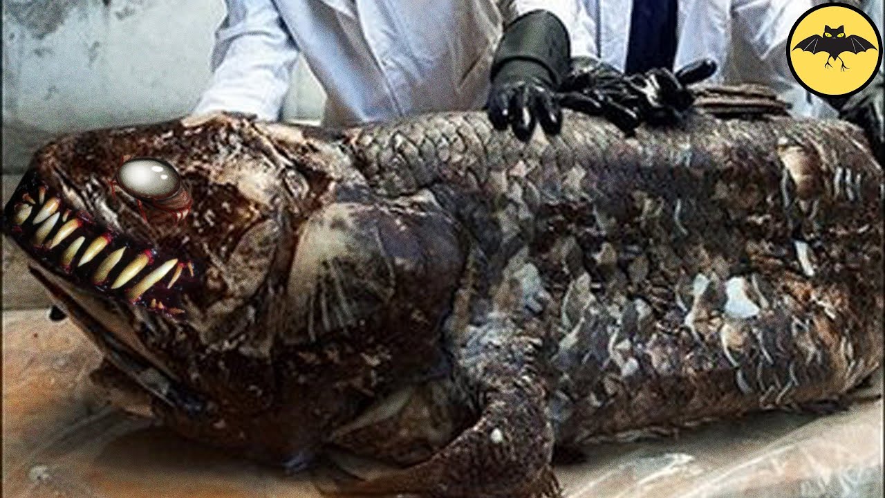 10 Extinct Animals that Have Been Rediscovered.