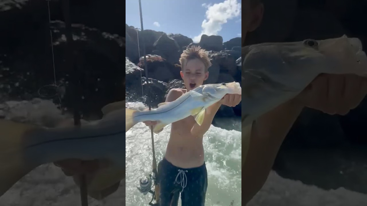 Another snook 