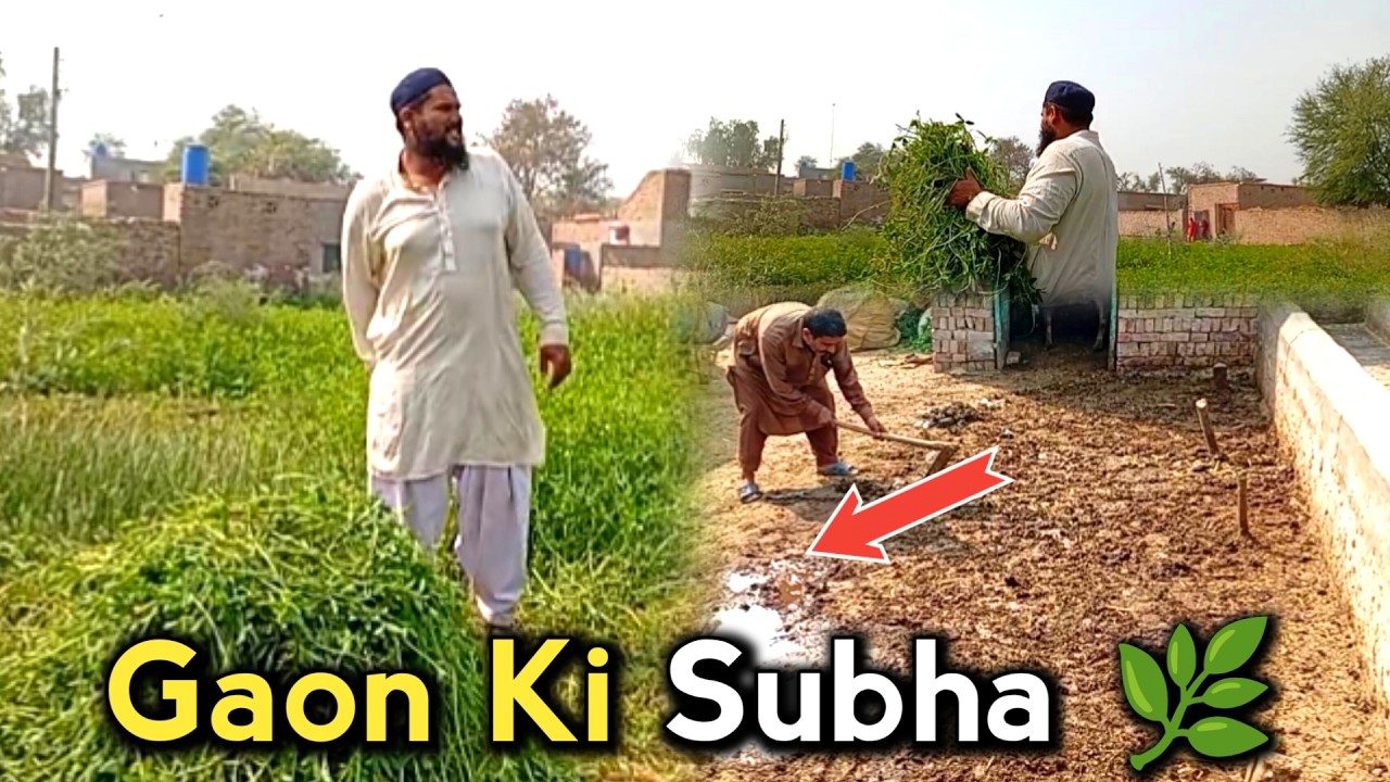 Subha Subha Gaon Ka Scene 🌿 | Village Life Pakistan