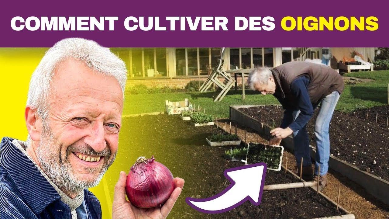 Culture Rapide D’oignons : Les Secrets Que Les Experts Ne Veulent Pas Que Vous Sachiez!