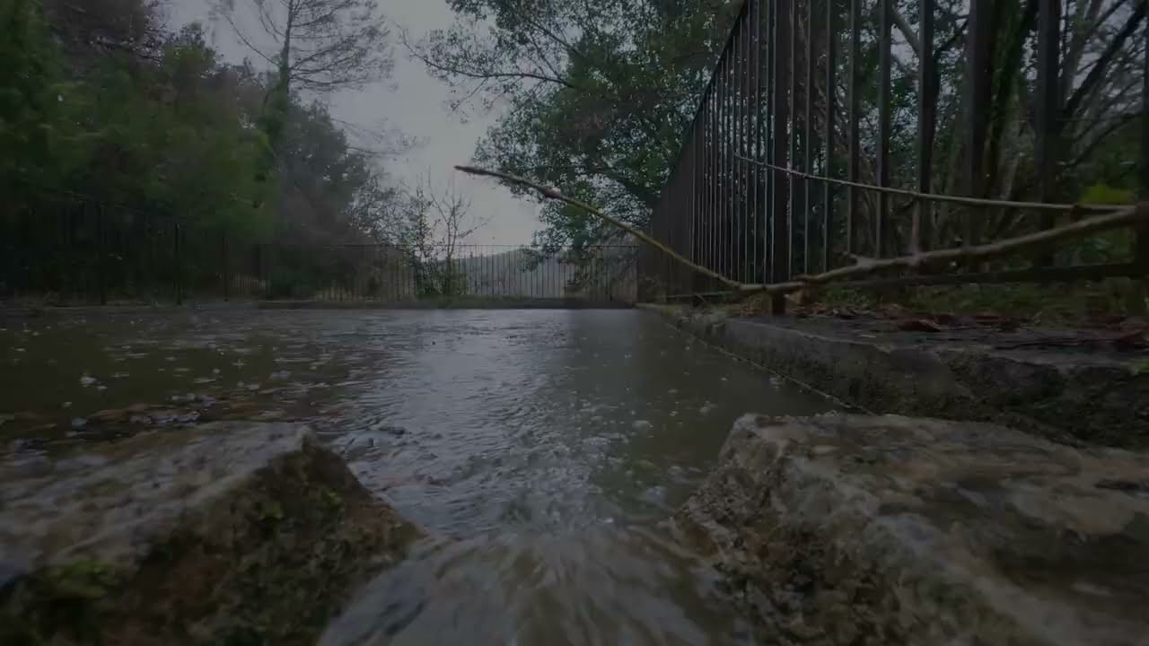 1 Hour Rain Sounds for Sleeping — Rain on Water + Flowing Stream (No Talking, No Music)