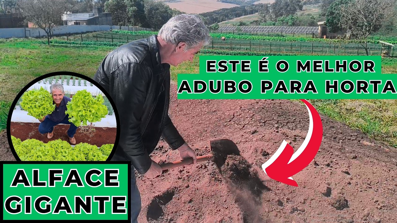ESTE É O MELHOR ADUBO PARA SUA HORTA
