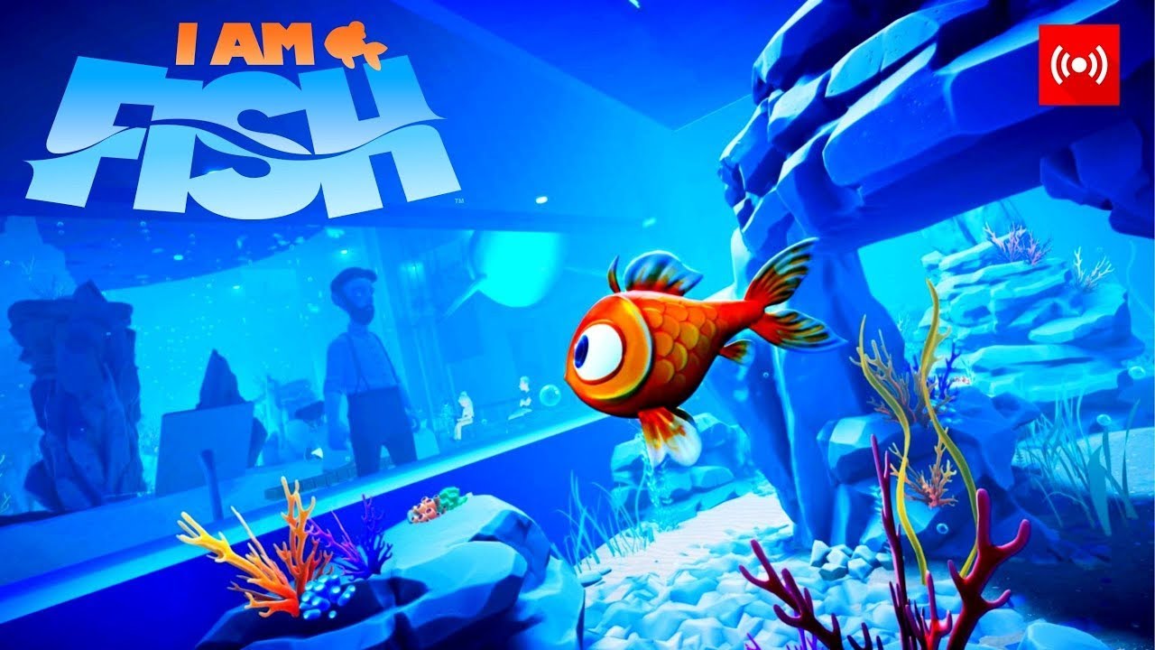 i am fish | live