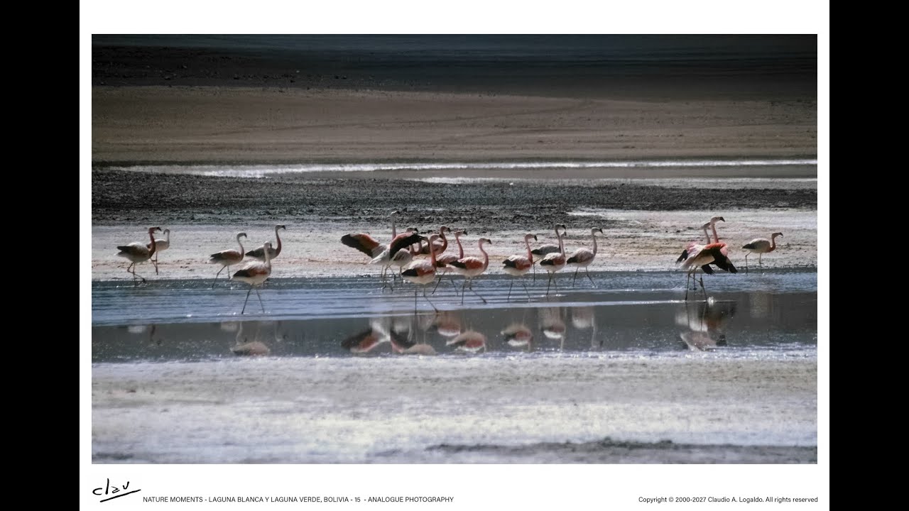 Laguna Blanca y Laguna Verde, Bolivia - Nature Moments