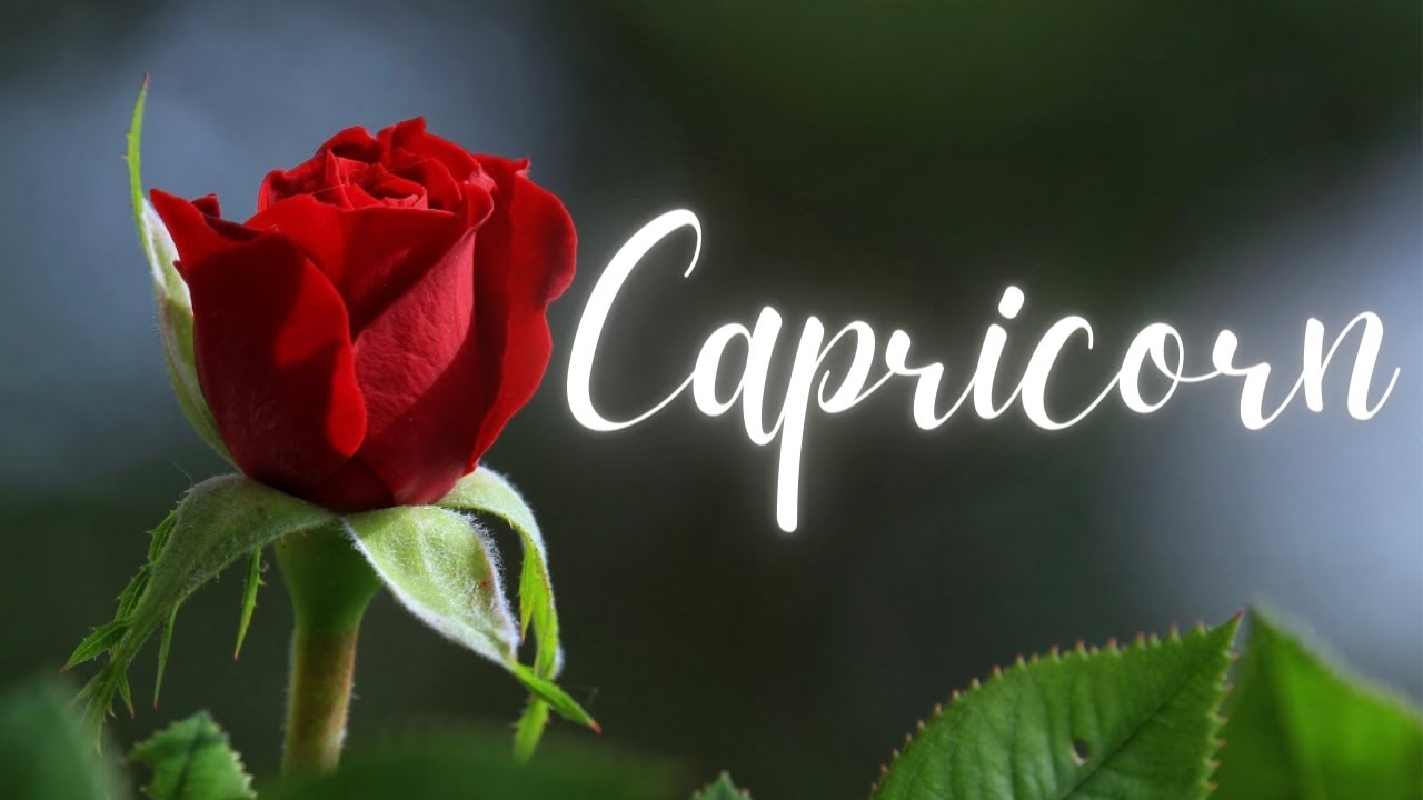 CAPRICORN LOVE TODAY - ONE OF THE MOST SINCERE APOLOGIES, CAPRICORN!!