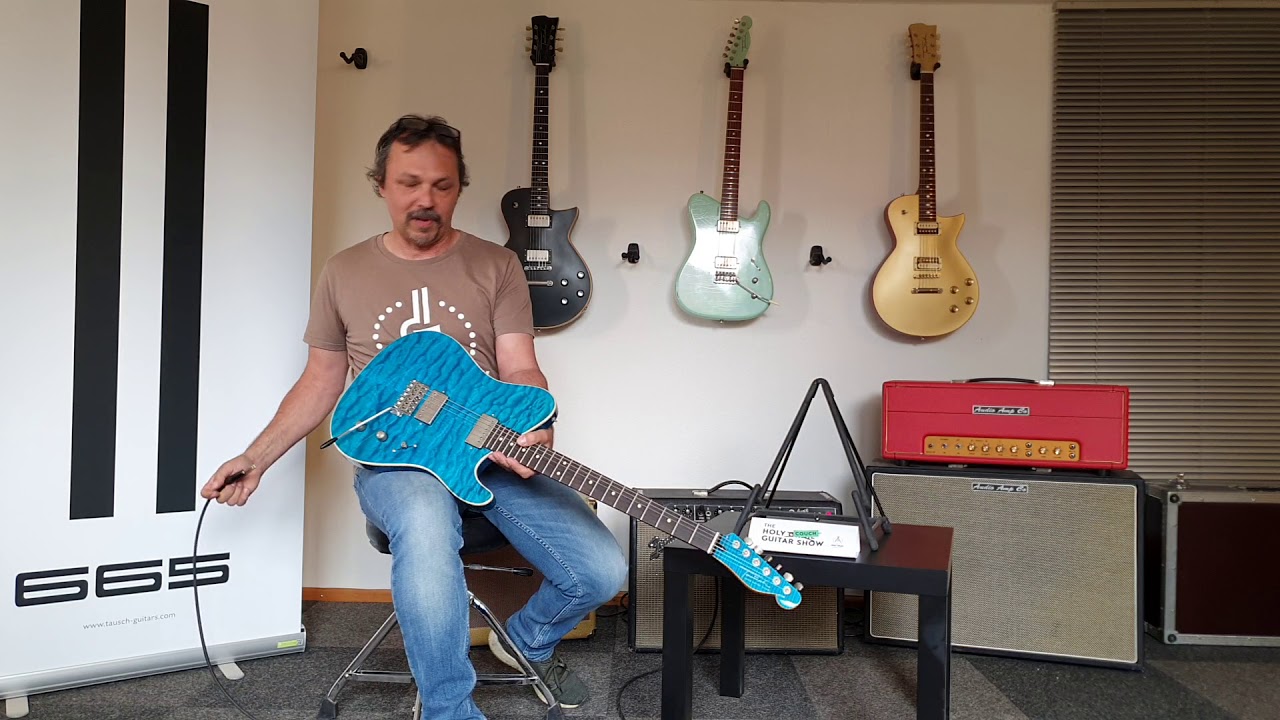 Tausch Electric Guitars / 665 DeLuxe / German Version