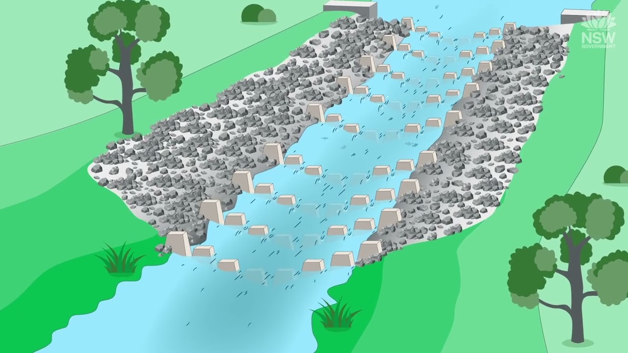 The secret life of fish(ways) - Rock Ramp Fishways
